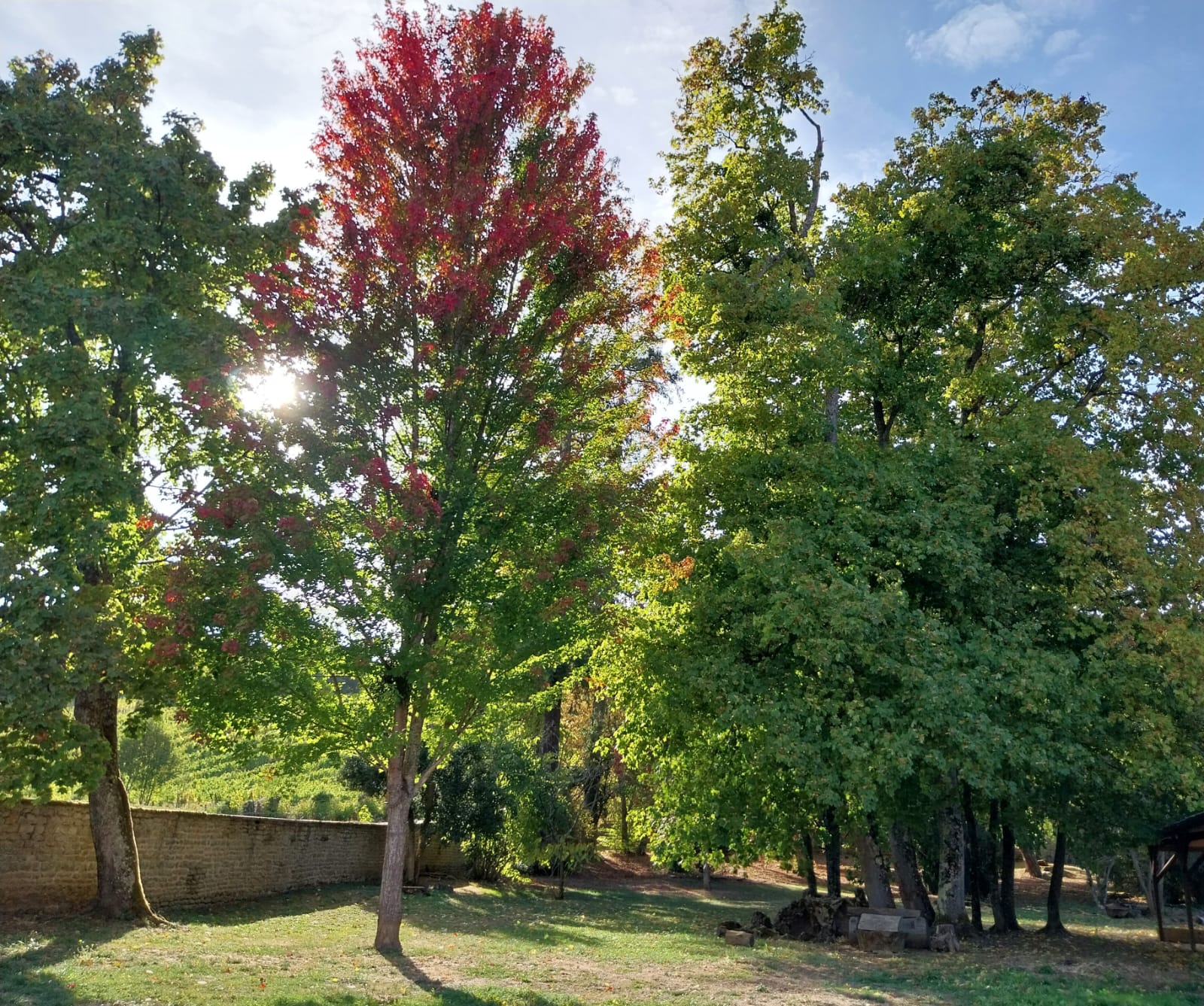 le parc communal