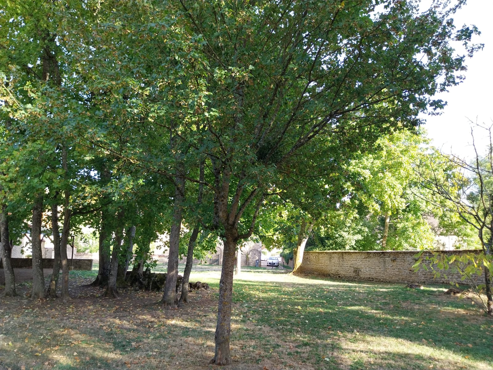 le parc communal