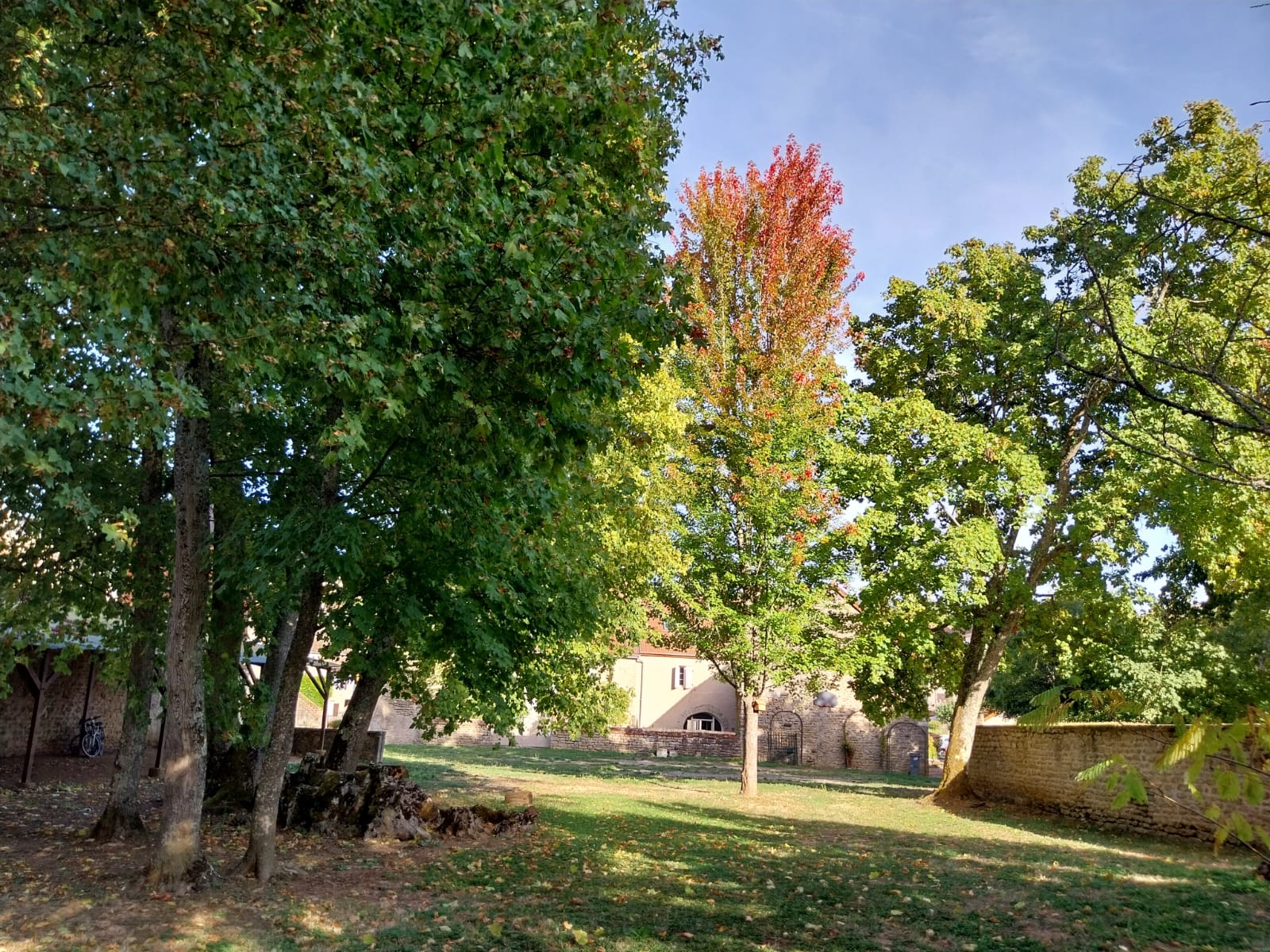 le parc communal