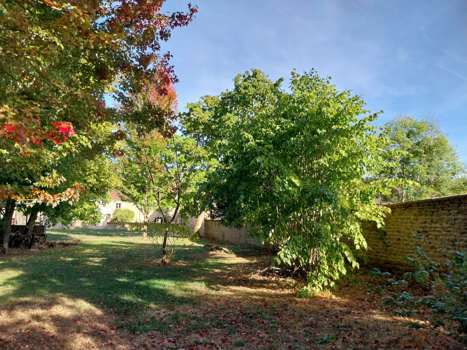 le parc communal
